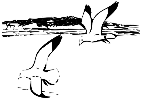 Dois gaivota em vÃ´o vector imagem